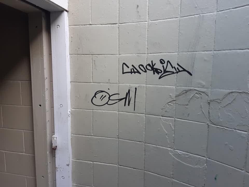 The photograph attached to this graffiti report