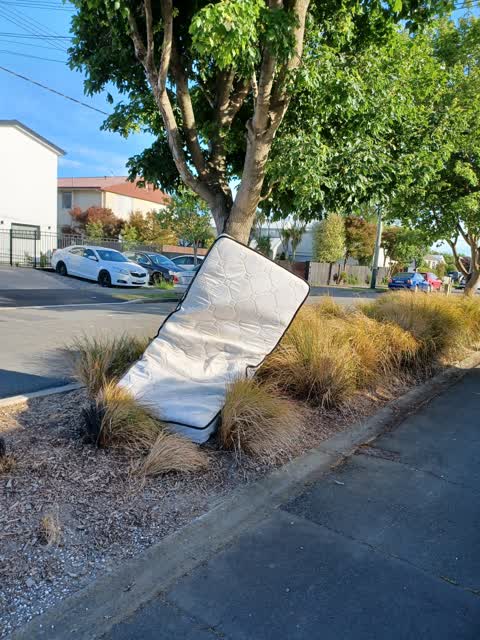Rubbish/Recycling, a report photo