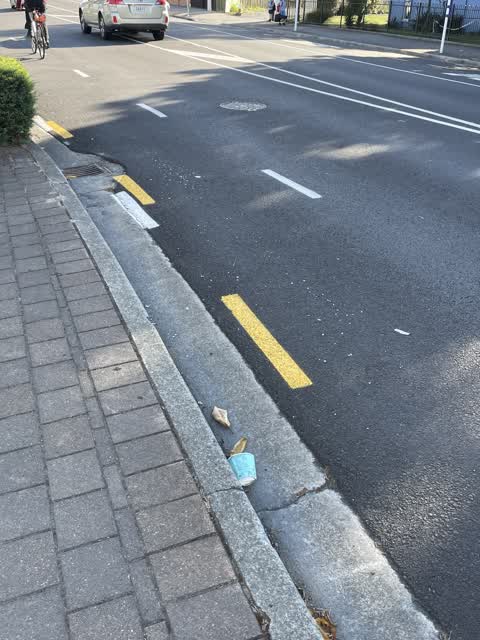 Rubbish/Recycling, a report photo