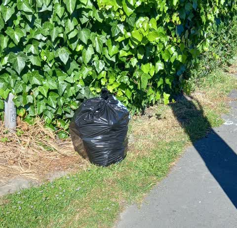 Rubbish/Recycling — a report photo