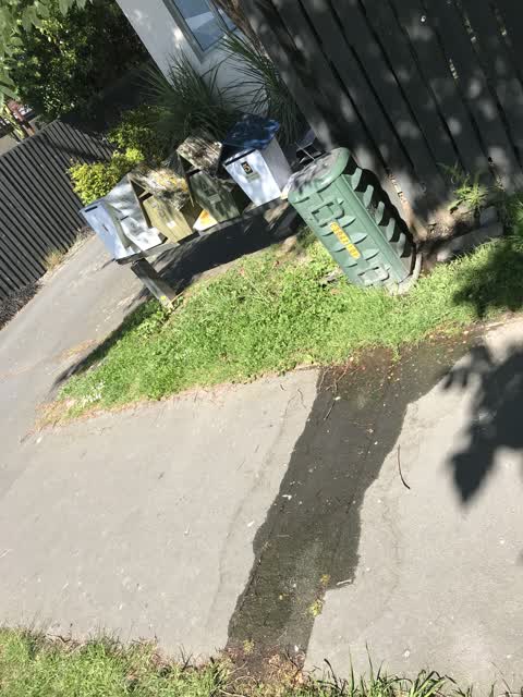 Water Leak, a report photo