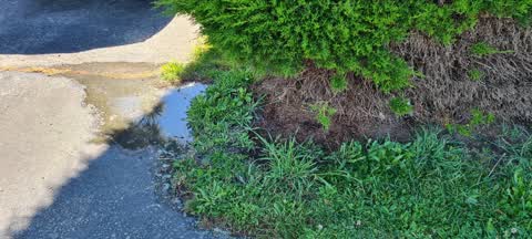 Water Leak — a report photo