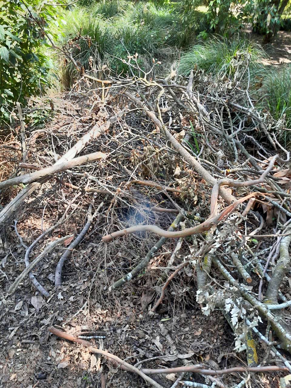 The photograph attached to this parks report