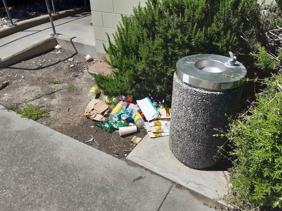 The photograph attached to this rubbish/recycling report