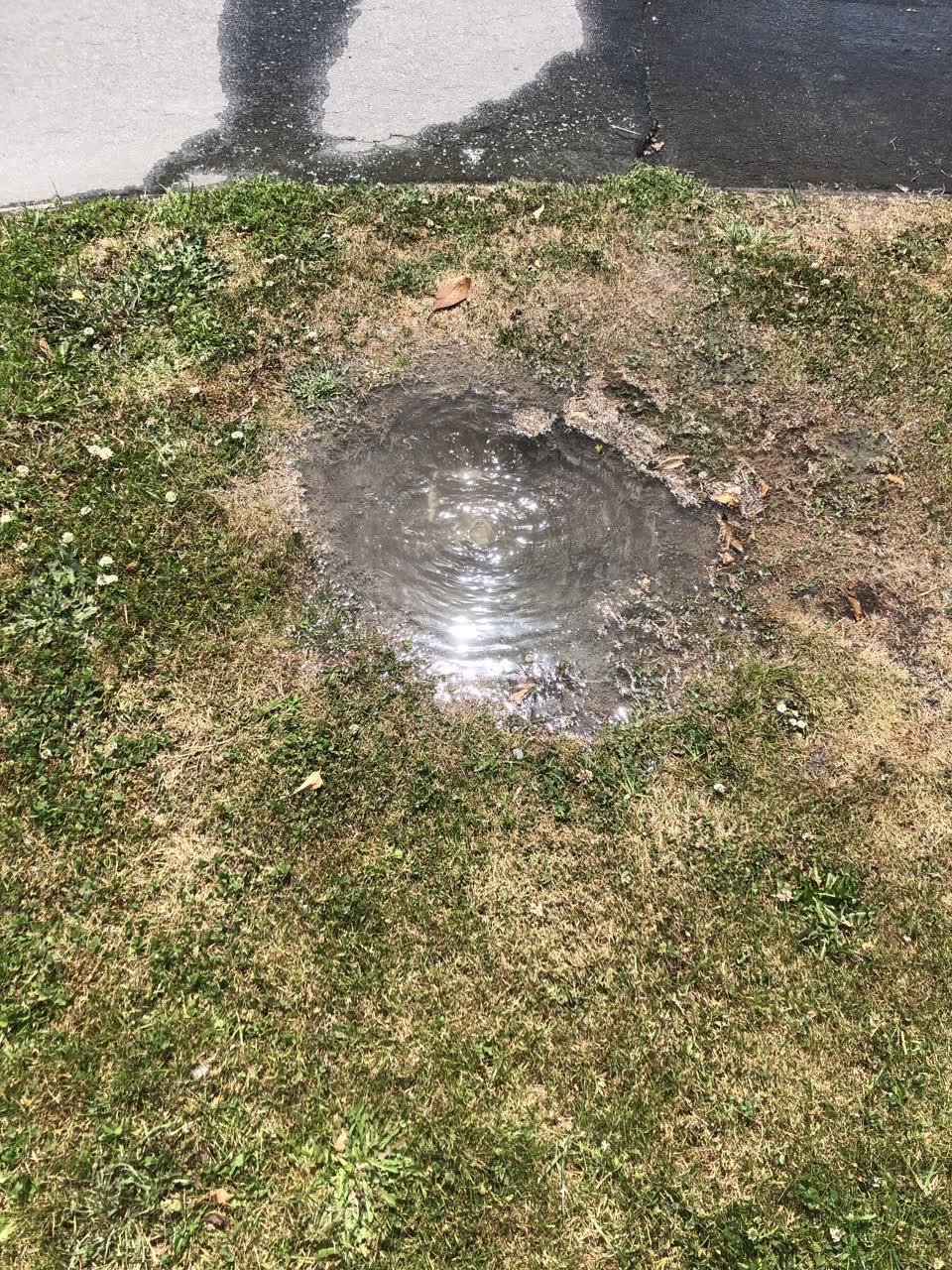 The photograph attached to this sewer - leak / blockage report