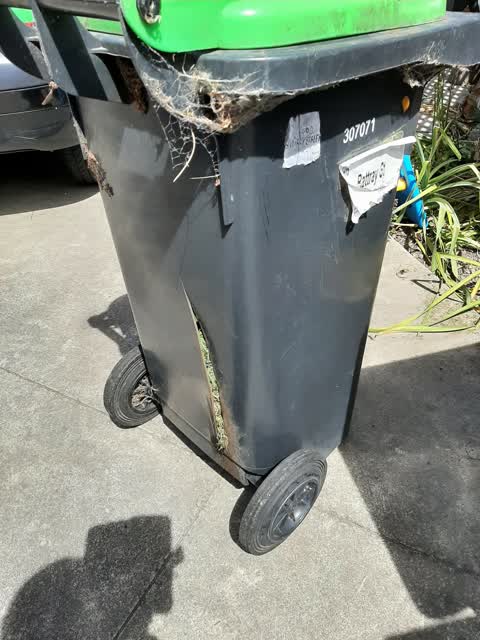 Rubbish/Recycling, a report photo