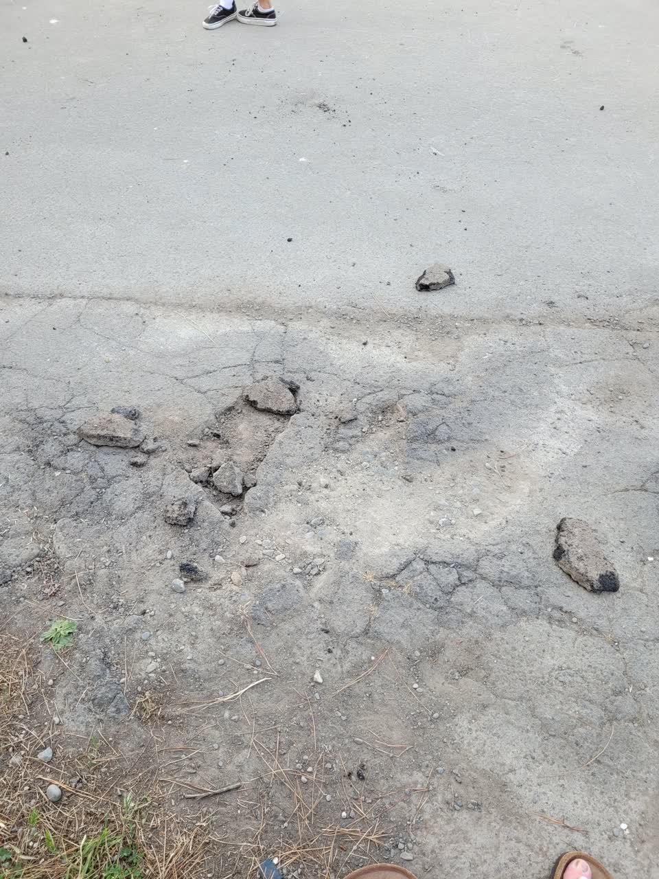 The photograph attached to this parks report