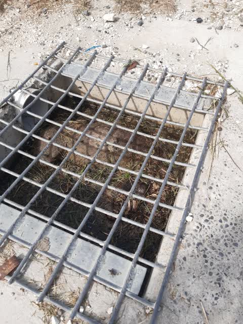 General Request, a report photo