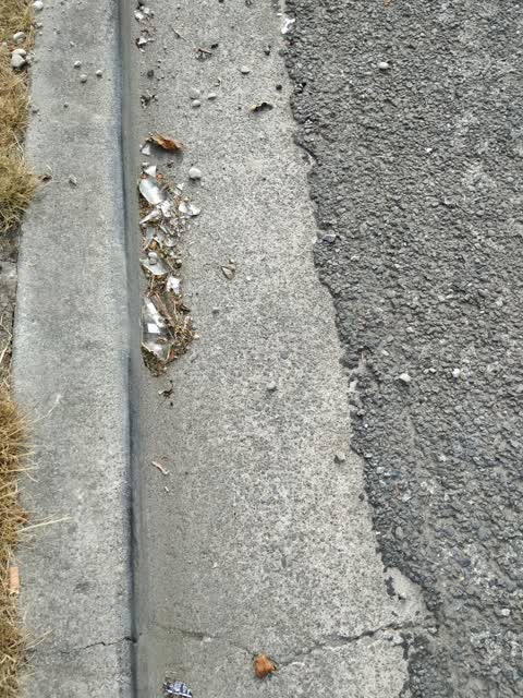 Roading/Streets, a report photo