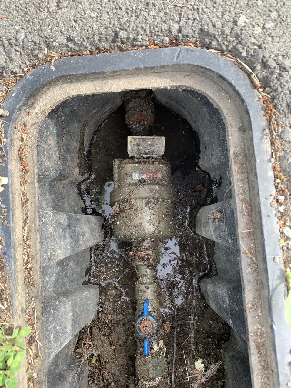 The photograph attached to this water leak report