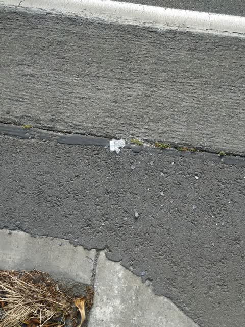 Roading/Streets, a report photo