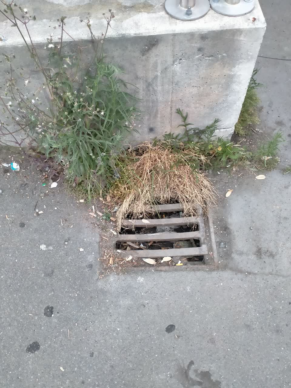 The photograph attached to this flooding report