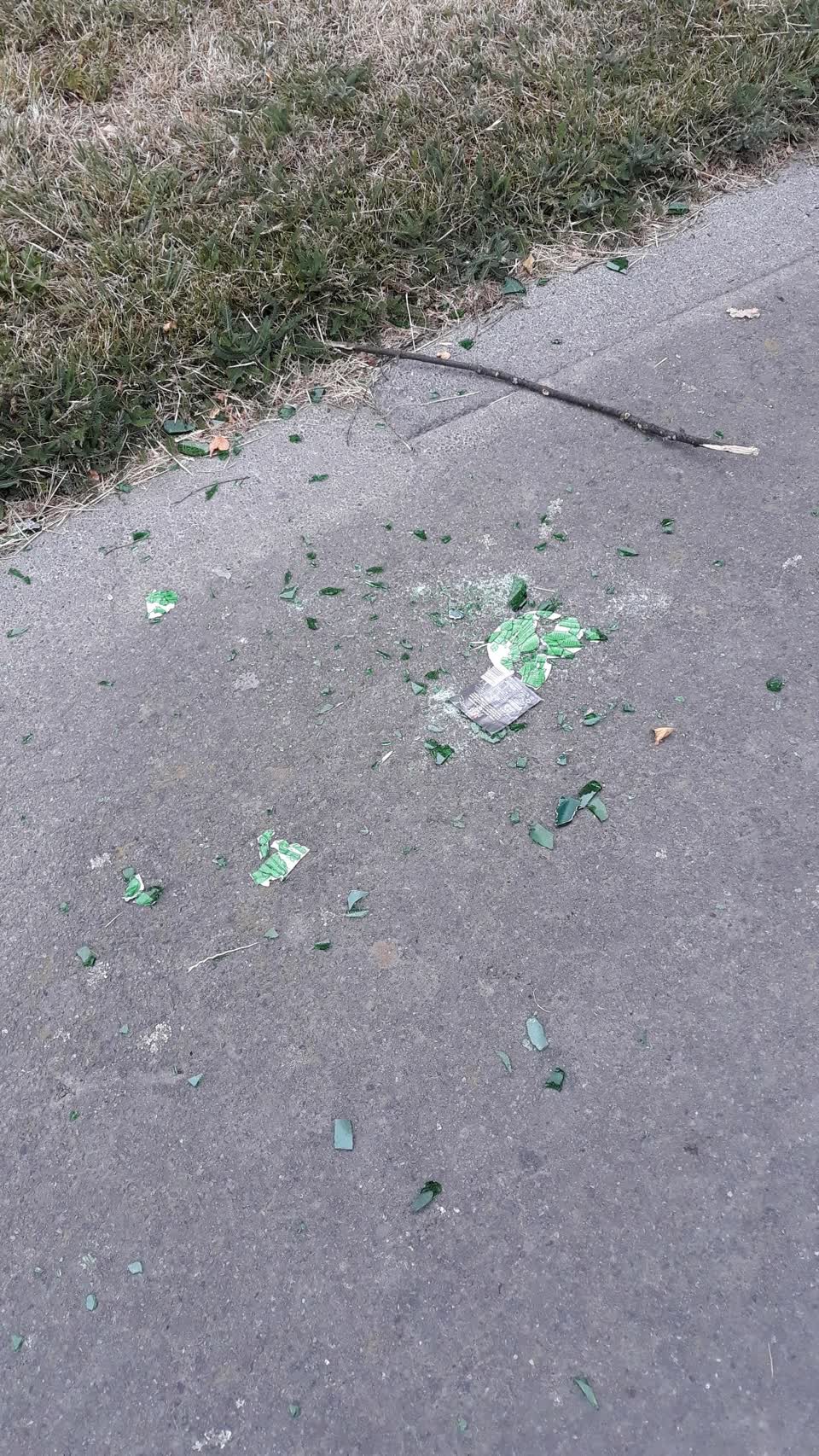 The photograph attached to this parks report