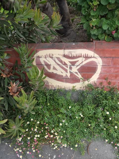 Graffiti, a report photo