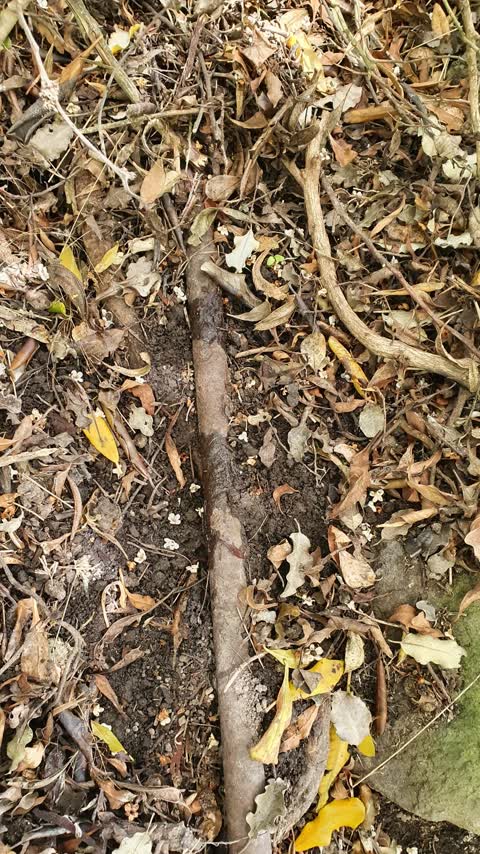 Water Leak, a report photo