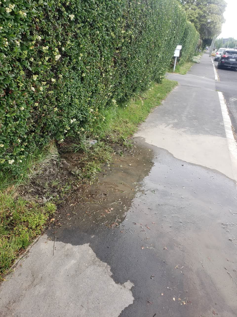 The photograph attached to this sewer - leak / blockage report