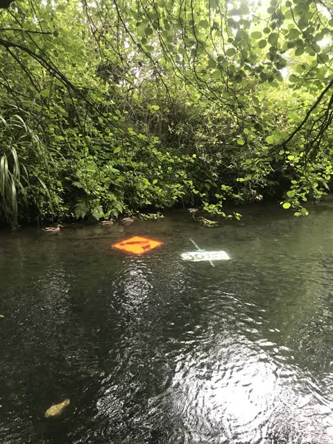 Parks, a report photo