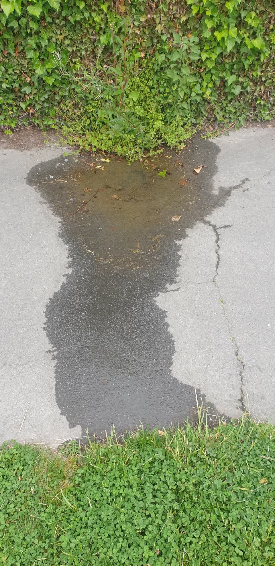 The photograph attached to this water leak report