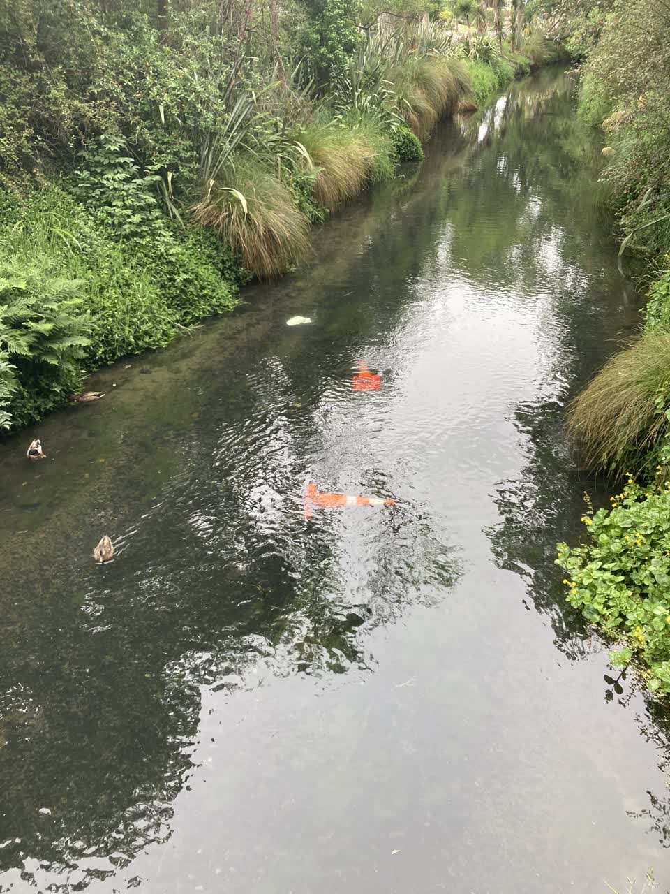 The photograph attached to this parks report