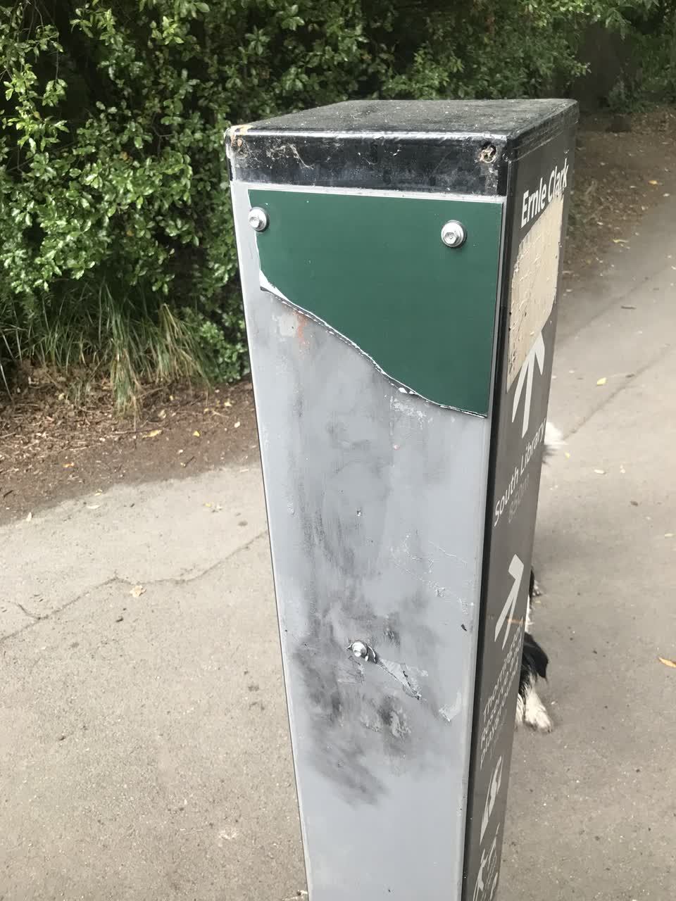 The photograph attached to this parks report