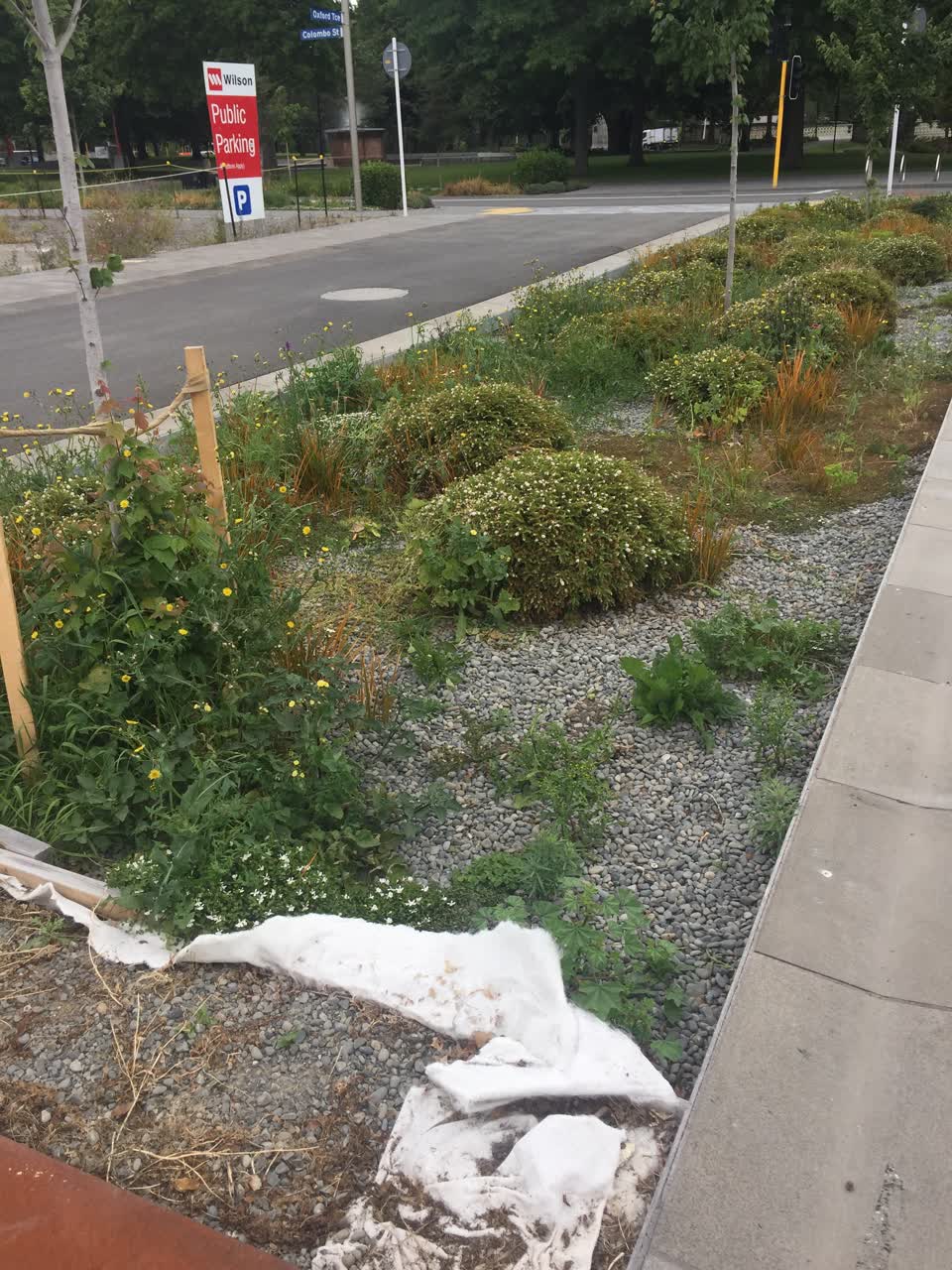The photograph attached to this parks report