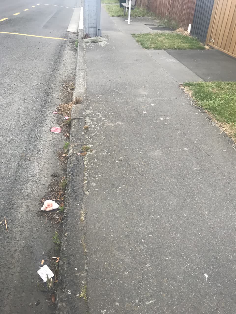 The photograph attached to this rubbish/recycling report