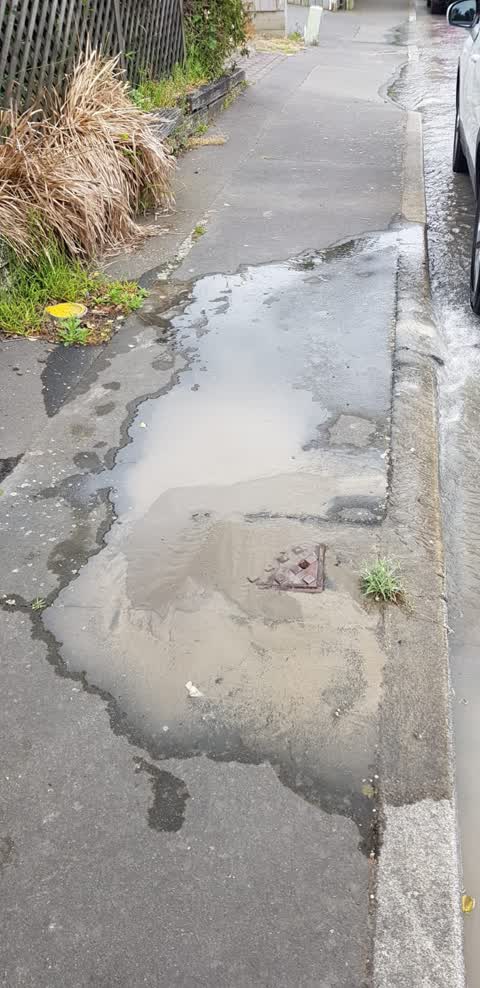 Water Leak, a report photo