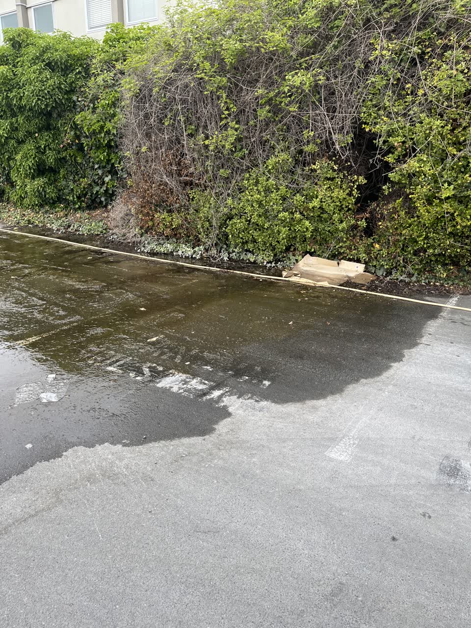 The photograph attached to this water leak report