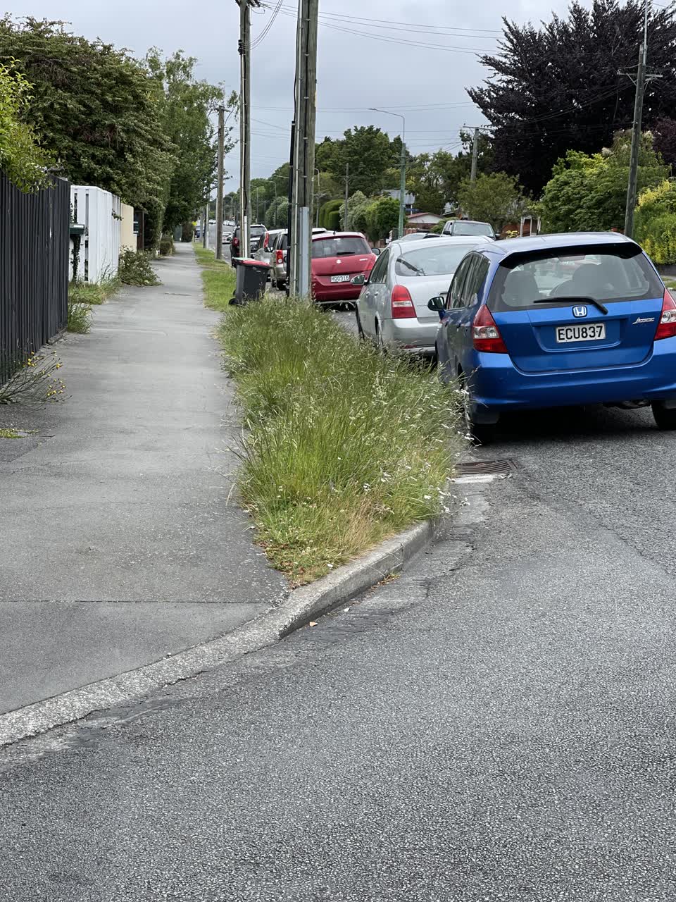 The photograph attached to this parks report