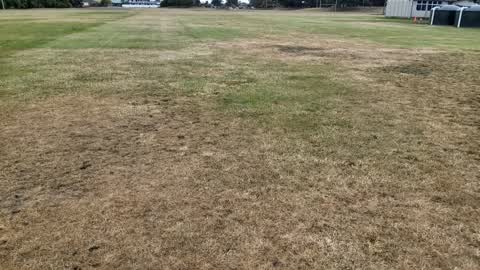 Parks, a report photo