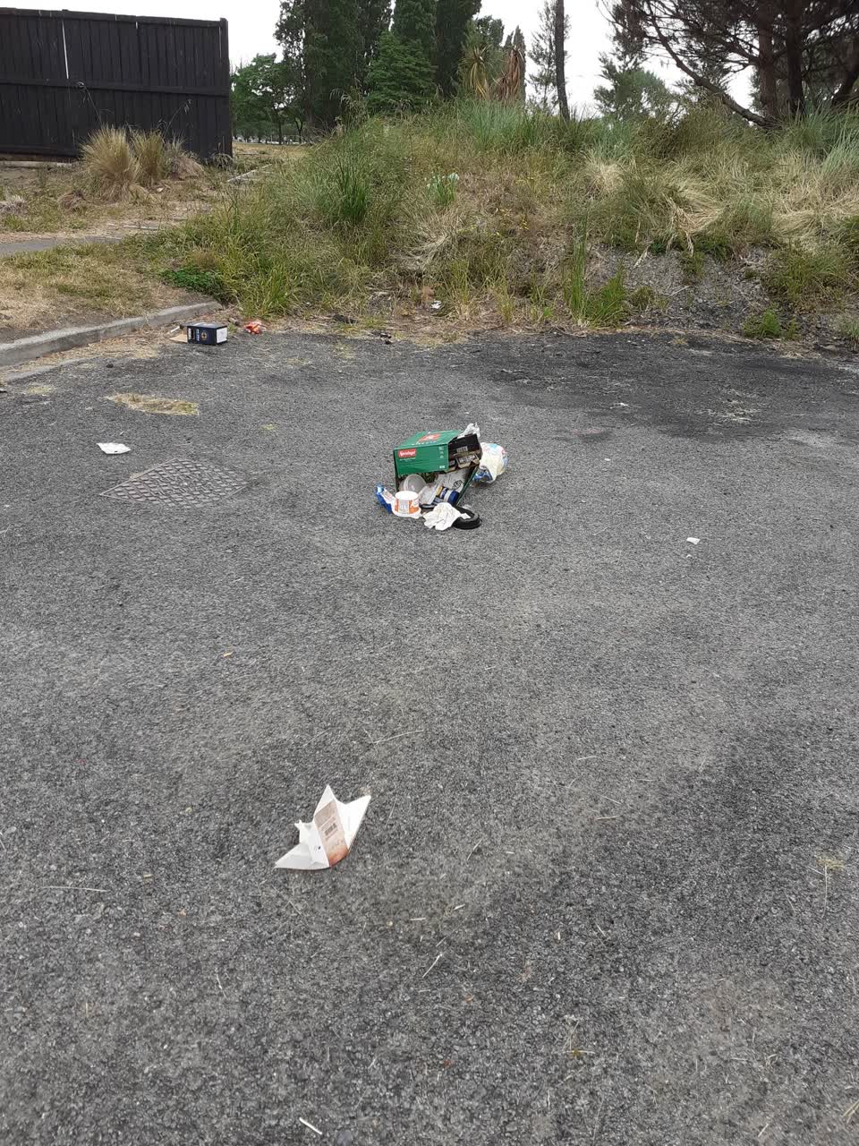 The photograph attached to this rubbish/recycling report