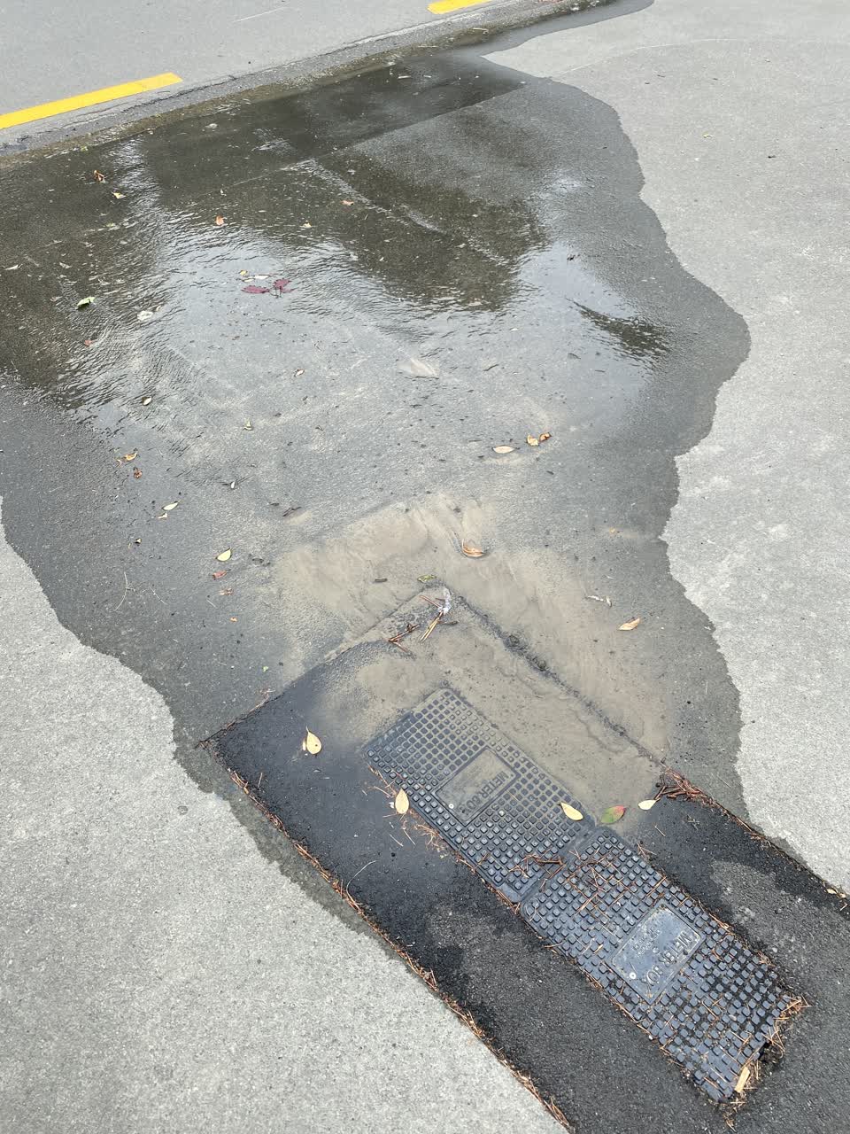 The photograph attached to this water leak report