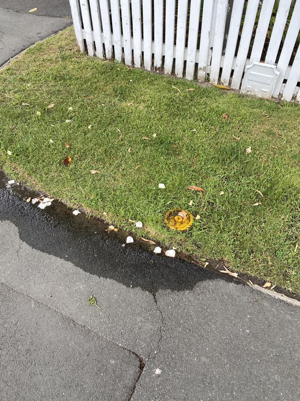 The photograph attached to this water leak report