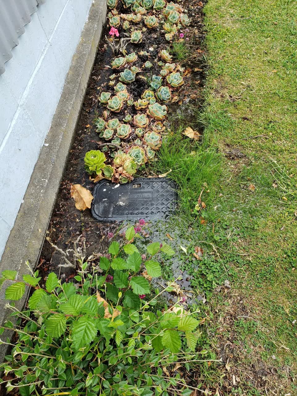 The photograph attached to this water leak report