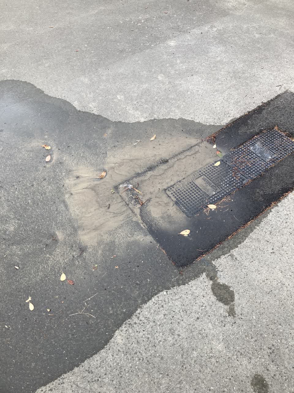 The photograph attached to this water leak report