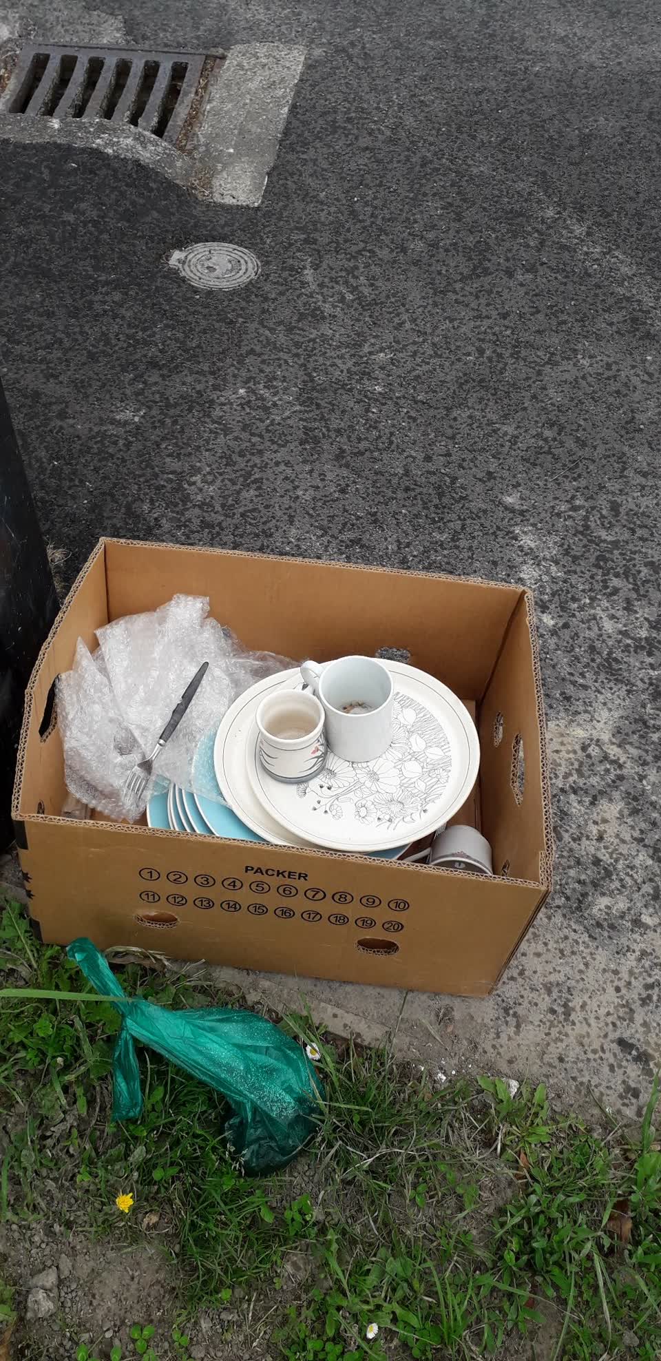 The photograph attached to this rubbish/recycling report