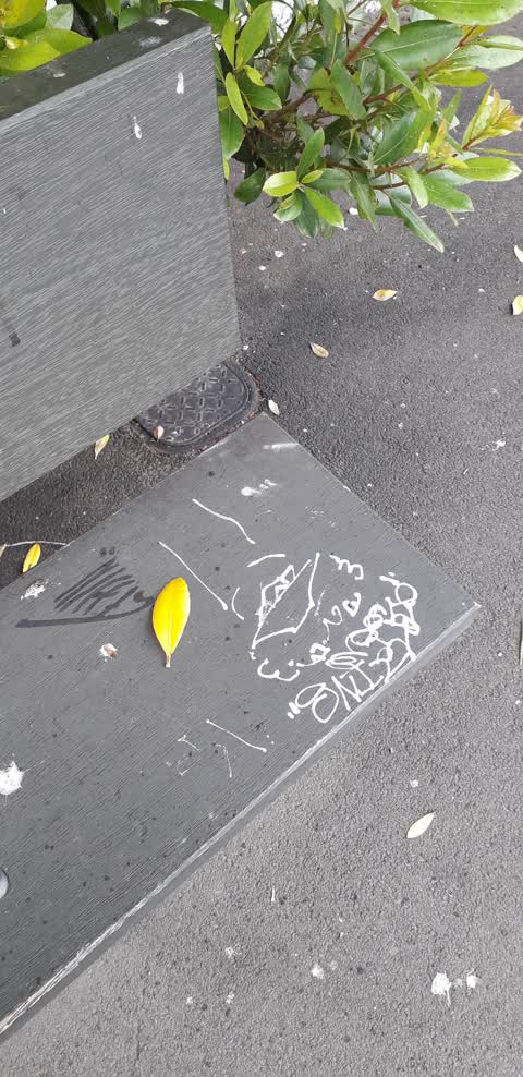 Graffiti, a report photo