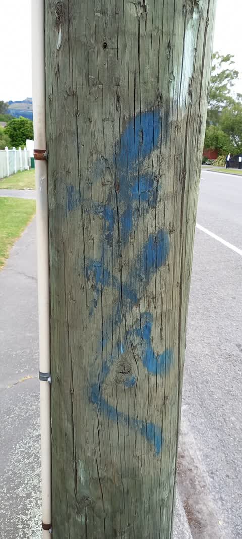 Graffiti, a report photo