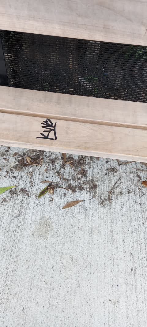 Graffiti, a report photo