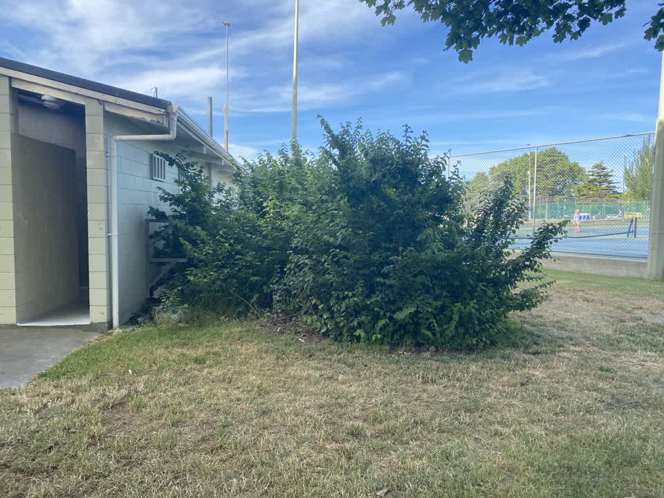 The photograph attached to this parks report