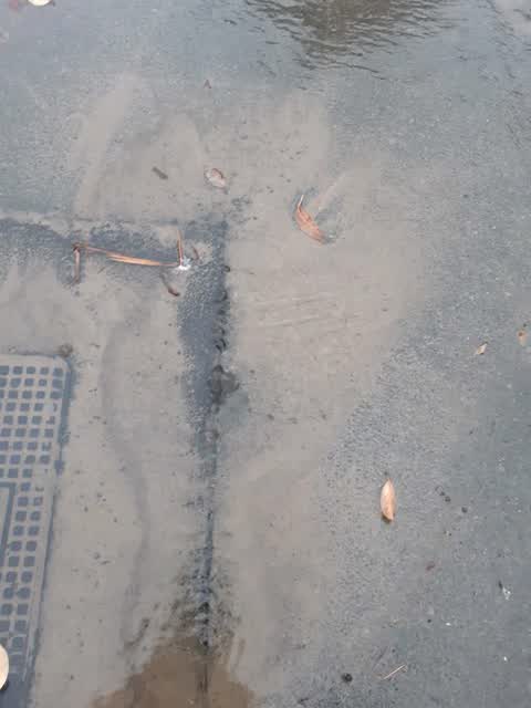Water Leak — a report photo