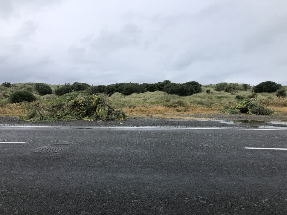 The photograph attached to this parks report