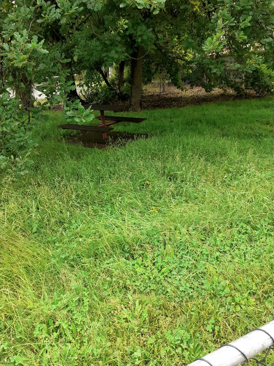 The photograph attached to this parks report