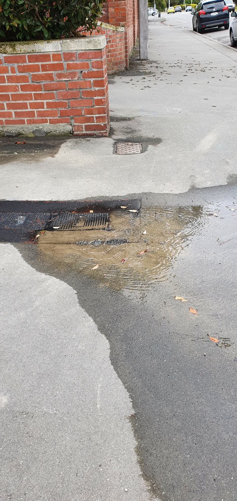 The photograph attached to this water leak report