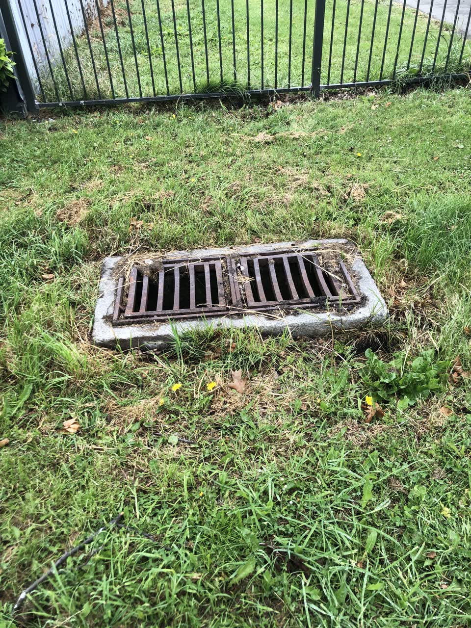 The photograph attached to this parks report