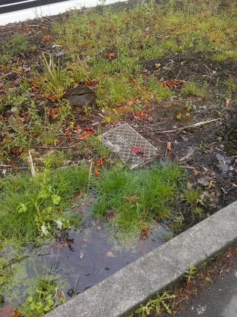 Water Leak, a report photo