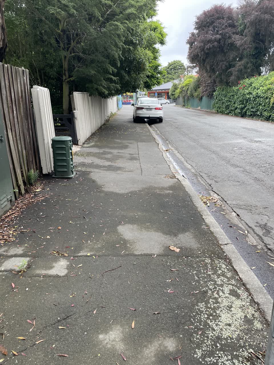 The photograph attached to this roading/streets report