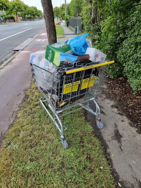 Rubbish/Recycling, a report photo