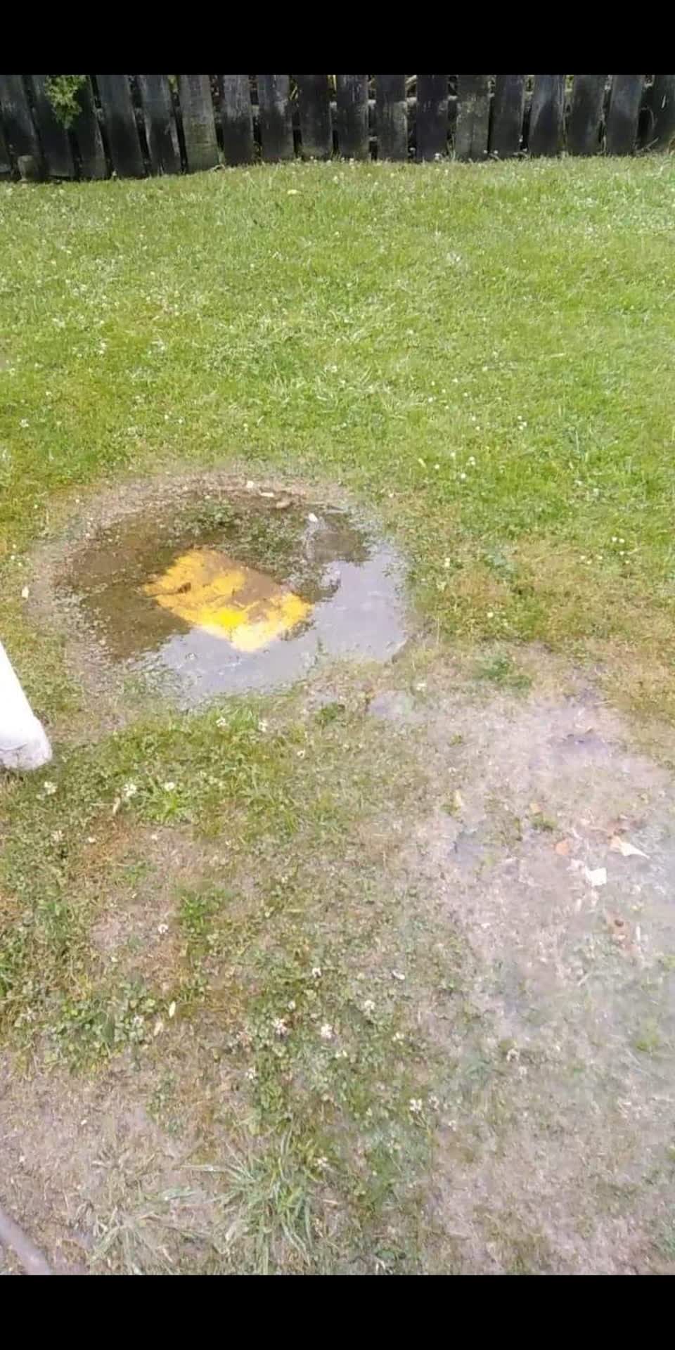 The photograph attached to this water leak report