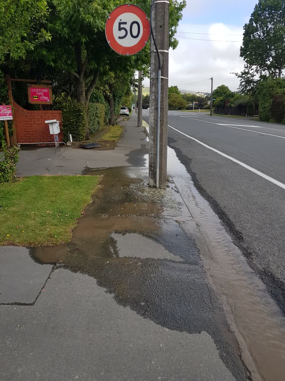 The photograph attached to this water leak report